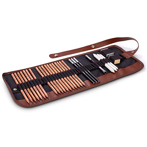 Cooja Drawing Pencils Set Art Supplies, 29 PCS Artist Sketching Pencils Sketch Kit with Graphite Charcoal Pencils Eraser Tortillon Canvas Roll up Pencil Case, Drawing Tools for Beginners Kids Adults