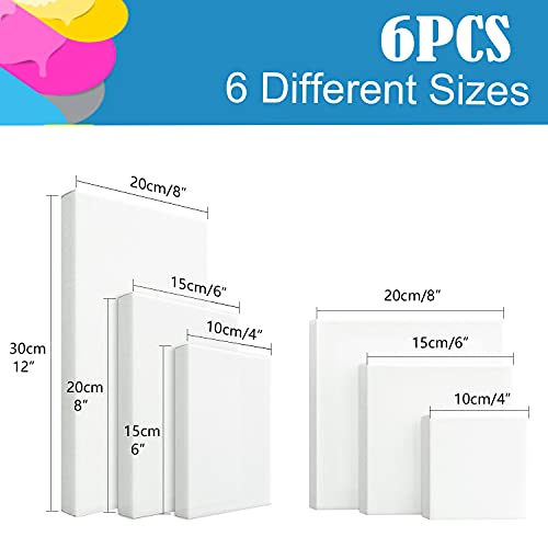 FEPITO 6 Set Blank Stretched Canvas Assorted Size Artist Canvas Multipack Canvases for Acrylic Oil Water Painting