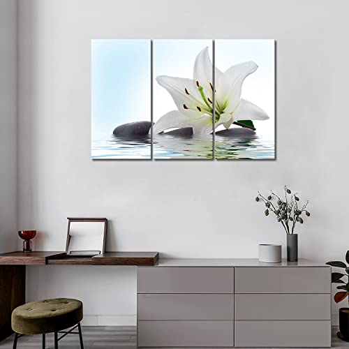 3 Panel Wall Art White Madonna Lily And Stone In Water Painting The Picture Print On Canvas Flower Pictures For Home Decor Decoration Gift Piece Stretched By Wooden Frame Ready To Hang
