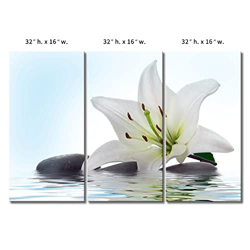3 Panel Wall Art White Madonna Lily And Stone In Water Painting The Picture Print On Canvas Flower Pictures For Home Decor Decoration Gift Piece Stretched By Wooden Frame Ready To Hang