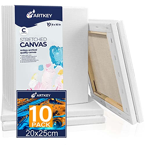 Stretched Canvas for Painting 20x25cm 10-Pack, 300 GSM Triple Primed Acid-Free 100% Cotton Framed Canvas, Blank Art Canvases for Acrylics Pouring Oil Watercolor Painting