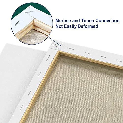 Stretched Canvas for Painting 20x25cm 10-Pack, 300 GSM Triple Primed Acid-Free 100% Cotton Framed Canvas, Blank Art Canvases for Acrylics Pouring Oil Watercolor Painting