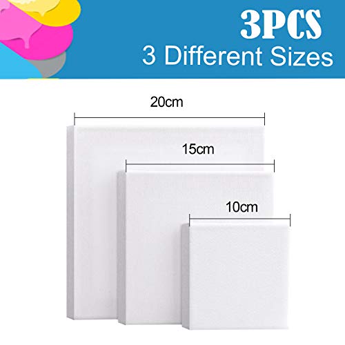 FEPITO Blank Stretched Framed Canvas for Painting 3 Pcs Art Canvas for Kids Adults Students and Professionals (20x20cm 15x15cm 10x10cm)