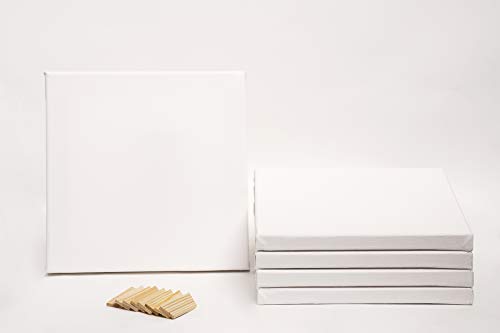 ADEPTNA Pack of 5 Artist Blank Stretched Canvas Frames - 100% Cotton Artist Quality Acid Free Triple Primed Gesso Stretched Canvas Frames with 40 Tightening Keys (20CM X 20CM)