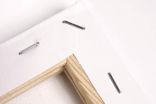 ADEPTNA Pack of 5 Artist Blank Stretched Canvas Frames - 100% Cotton Artist Quality Acid Free Triple Primed Gesso Stretched Canvas Frames with 40 Tightening Keys (20CM X 20CM)
