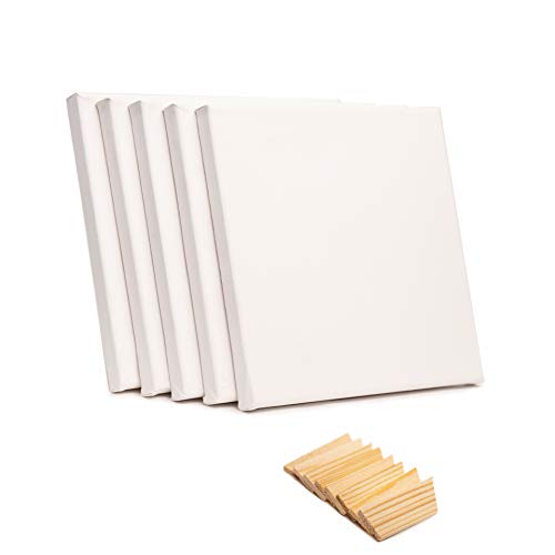 ADEPTNA Pack of 5 Artist Blank Stretched Canvas Frames - 100% Cotton Artist Quality Acid Free Triple Primed Gesso Stretched Canvas Frames with 40 Tightening Keys (20CM X 20CM)