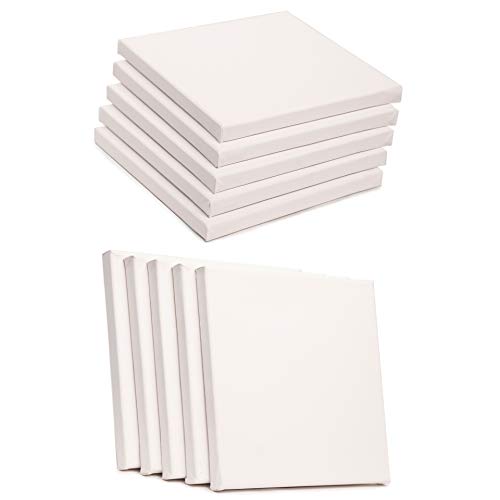 ADEPTNA Pack of 5 Artist Blank Stretched Canvas Frames - 100% Cotton Artist Quality Acid Free Triple Primed Gesso Stretched Canvas Frames with 40 Tightening Keys (20CM X 20CM)