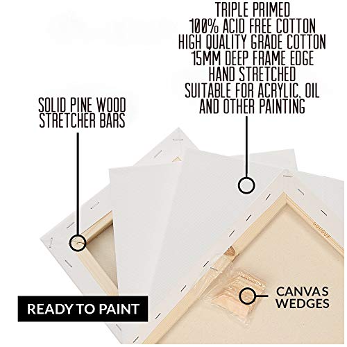 ADEPTNA Pack of 5 Artist Blank Stretched Canvas Frames - 100% Cotton Artist Quality Acid Free Triple Primed Gesso Stretched Canvas Frames with 40 Tightening Keys (20CM X 20CM)