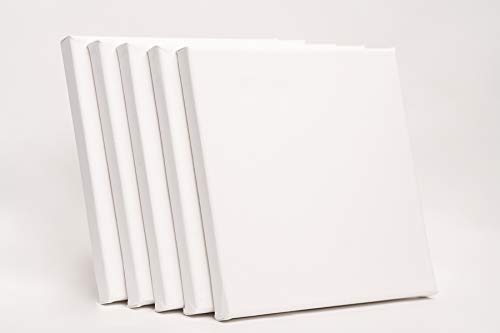 ADEPTNA Pack of 5 Artist Blank Stretched Canvas Frames - 100% Cotton Artist Quality Acid Free Triple Primed Gesso Stretched Canvas Frames with 40 Tightening Keys (20CM X 20CM)