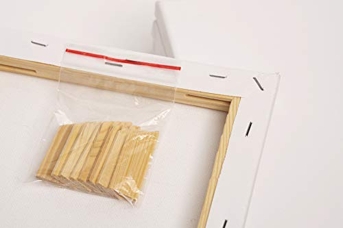 ADEPTNA Pack of 5 Artist Blank Stretched Canvas Frames - 100% Cotton Artist Quality Acid Free Triple Primed Gesso Stretched Canvas Frames with 40 Tightening Keys (20CM X 20CM)