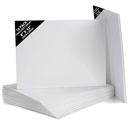 Belle Vous 14 Pack Blank Canvas - 20 x 30cm (8 x 12 inches) - Pre Stretched Canvas Panel Boards - Suitable for Acrylic and Oil Painting Also for Sketching and Drawing