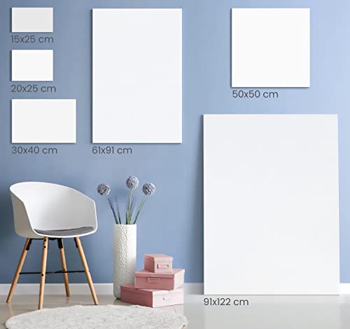 ARTEZA 50x50 cm, 30x40 cm, 20x25cm, and 25x15 cm Stretched Canvas, Pack of 4, 100% Cotton and Primed with Acid-Free Titanium Acrylic Gesso, Art Supplies for Professional Artists & Hobby Painters