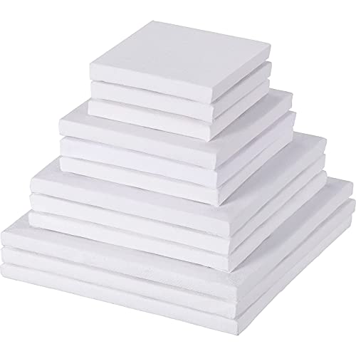 Assorted Size 3 Inches/ 4 Inches/ 5 Inches/ 6 Inches Mini Art Canvas Stretched for Craft Painting Drawing, 12 Pieces