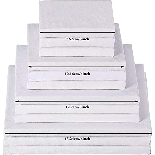 Assorted Size 3 Inches/ 4 Inches/ 5 Inches/ 6 Inches Mini Art Canvas Stretched for Craft Painting Drawing, 12 Pieces
