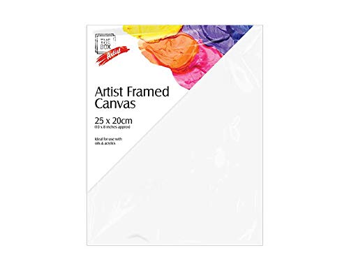Blank Framed Canvas Panel, Pre-Stretched 100% Cotton for Artists Painting with Acrylic Oil or Water Based Double Primed Frame Boards (Framed Canvas 25cm x 20cm)