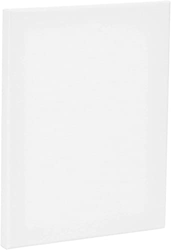 Blank Framed Canvas Panel, Pre-Stretched 100% Cotton for Artists Painting with Acrylic Oil or Water Based Double Primed Frame Boards (Framed Canvas 25cm x 20cm)