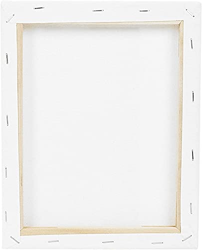 Blank Framed Canvas Panel, Pre-Stretched 100% Cotton for Artists Painting with Acrylic Oil or Water Based Double Primed Frame Boards (Framed Canvas 25cm x 20cm)