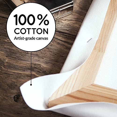 Stretched Canvas Frames - Stretched Canvas (Pack of 6-16 in x 12 in) 100% Cotton Artist Quality Acid Free Triple Primed Gesso Stretched Canvases Quality Art Paint Supply by Artistik