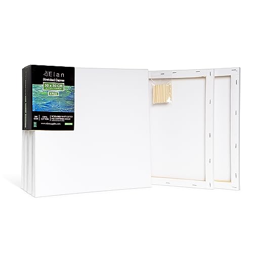 Elan Stretched Canvases 30x30 CM, 6-Pack Canvases for Painting Painting Canvas Bulk Stretched Canvas for Adults, Blank Canvas for Painting, Painting Canvases, Paint Canvases for Painting, Art Canvas