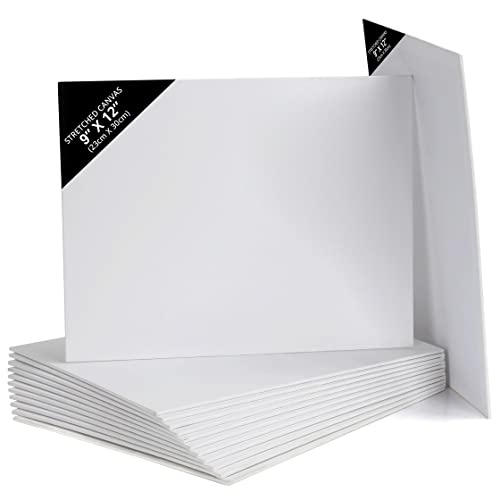 Belle Vous 14 Pack Blank Canvas - 23 x 30cm (9 x 12 inches) - Pre Stretched Canvas Panel Boards - Suitable for Acrylic and Oil Painting Also for Sketching and Drawing