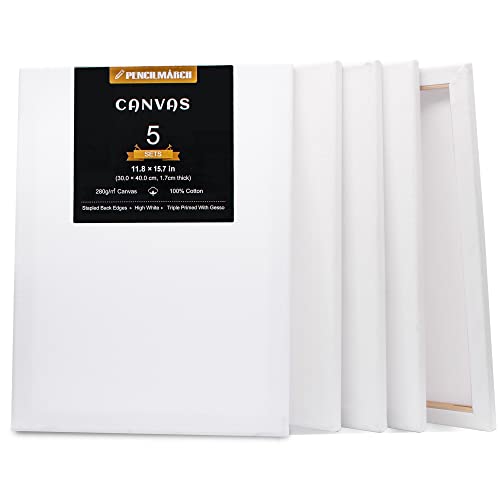 Blank Canvas for Painting 5pcs 11.8x15.7 inches Artist Canvases Frame Board Panels, 100% Cotton Acid Free Triple Primed Medium Grain Professional Artist Canvases for Watercolour Oil Acrylic Painting