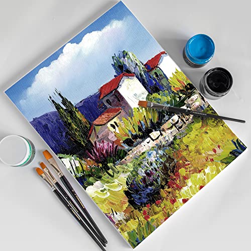 Blank Canvas for Painting 5pcs 11.8x15.7 inches Artist Canvases Frame Board Panels, 100% Cotton Acid Free Triple Primed Medium Grain Professional Artist Canvases for Watercolour Oil Acrylic Painting