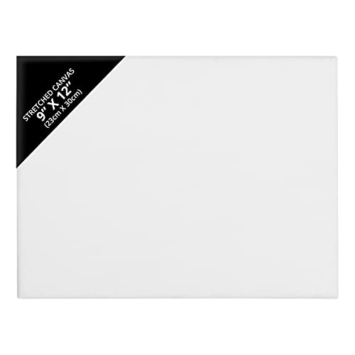 Belle Vous 14 Pack Blank Canvas - 23 x 30cm (9 x 12 inches) - Pre Stretched Canvas Panel Boards - Suitable for Acrylic and Oil Painting Also for Sketching and Drawing