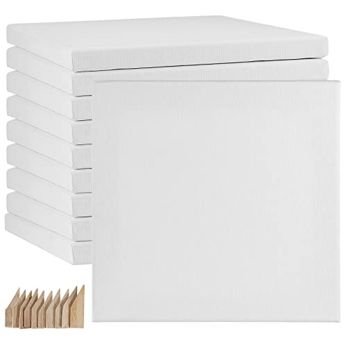 HAKZEON 10 Pack 20 x 20 cm Stretched Blank Square Canvas, Artist Blank Canvas Frame Stretcher with 80 Tightening Keys, White Stretched Canvas for Acrylic Painting, Oil Painting, Wet and Dry Art Media