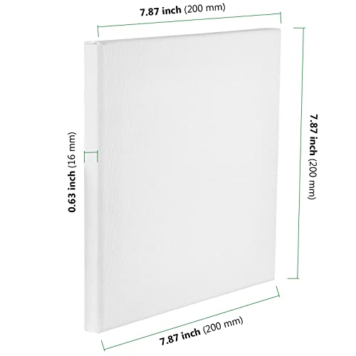 HAKZEON 10 Pack 20 x 20 cm Stretched Blank Square Canvas, Artist Blank Canvas Frame Stretcher with 80 Tightening Keys, White Stretched Canvas for Acrylic Painting, Oil Painting, Wet and Dry Art Media