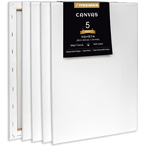Blank Canvas for Painting 5pcs 11.8x15.7 inches Artist Canvases Frame Board Panels, 100% Cotton Acid Free Triple Primed Medium Grain Professional Artist Canvases for Watercolour Oil Acrylic Painting