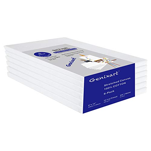 Genixart 24x30cm / 9"x12" Inch White Blank Stretched Canvas, Pack of 6, Primed Professional Artist Canvases for Acrylics & Oils Painting (a4)