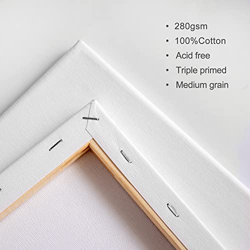 Blank Canvas for Painting 5pcs 11.8x15.7 inches Artist Canvases Frame Board Panels, 100% Cotton Acid Free Triple Primed Medium Grain Professional Artist Canvases for Watercolour Oil Acrylic Painting