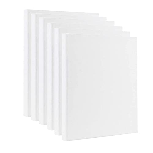 YORKING A3 Framed Pre-Stretched Canvas Panels, 6pcs 30X40cm Artist Blank Canvas Panels Board White 100% Cotton Canvases for Painting Canvas Board for Students, Beginners,artist