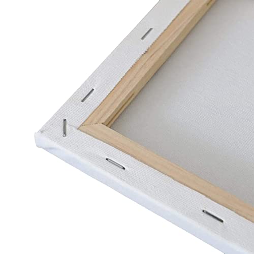 YORKING A3 Framed Pre-Stretched Canvas Panels, 6pcs 30X40cm Artist Blank Canvas Panels Board White 100% Cotton Canvases for Painting Canvas Board for Students, Beginners,artist