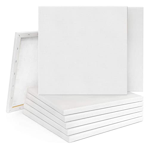 Supernic10PCS 20x20cm Blank Artist Canvas Art Board Plain Painting Stretched Framed for Painting Enthusiast