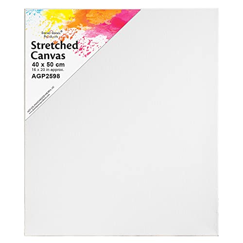 Artist Canvas Art Board Plain Painting Stretched Framed White Large Small Blank (40cm x 50cm)