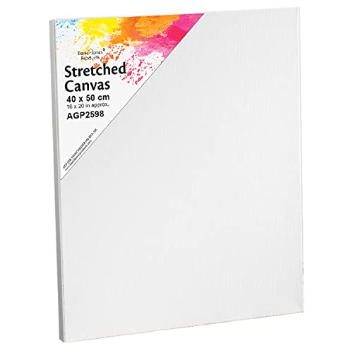 Artist Canvas Art Board Plain Painting Stretched Framed White Large Small Blank (40cm x 50cm)