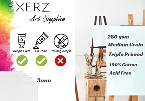 Exerz 20x25cm Canvas Panels 12pcs 280GSM/ Artist Canvas Board 100% Cotton 0.3cm Thinkness/ Blank/ Triple Primed/ Acid Free/ Medium Grain