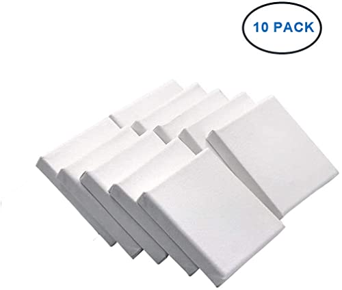 Niuelai 10Pack Mini Canvas Panel, 10x10cm Stretched Canvas Boards, Square Small Art Board for Oil Paint Blank 3.93"