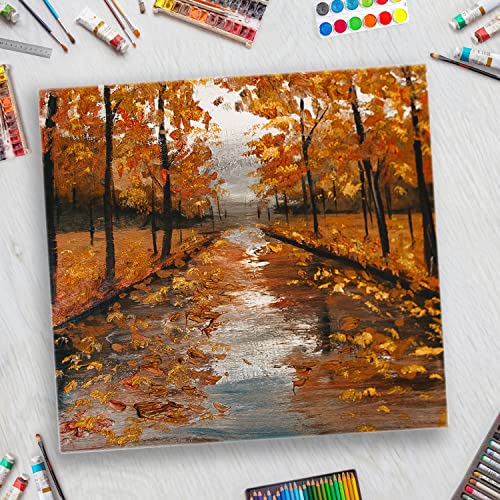 Belle Vous 3 Pack Blank Canvas - 60 x 60cm (24 x 24 inches) - Pre Stretched Canvas Panel Boards - Suitable for Acrylic and Oil Painting Also for Sketching and Drawing