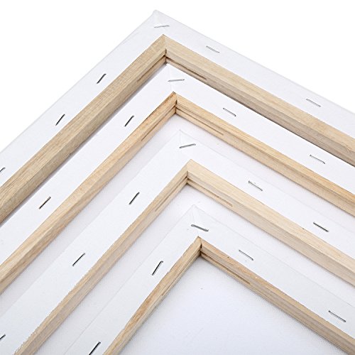 H&S Set of 4 Artist Blank Canvas Frame Stretcher Acrylic Oil Water Painting Board 20x30cm, 30x40cm, 40x50cm, 50x60cm