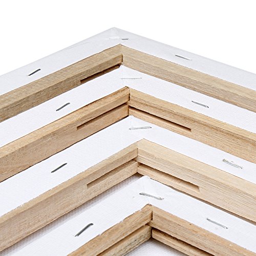 H&S Set of 4 Artist Blank Canvas Frame Stretcher Acrylic Oil Water Painting Board 20x30cm, 30x40cm, 40x50cm, 50x60cm