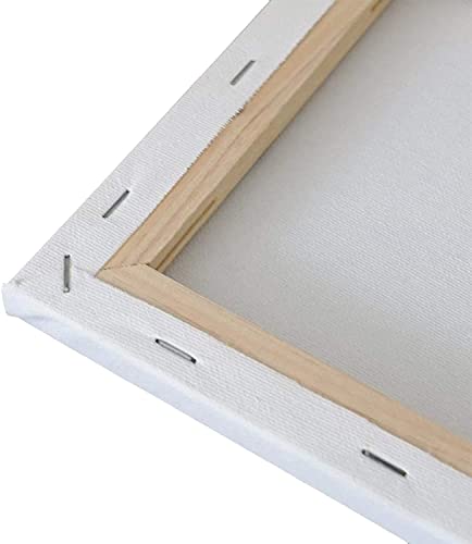 Holdfiturn 6PCS Blank Canvas A3(30X40cm) Artist Canvas Panels Board 100% Cotton Blank Canvases for Acrylic Painting Canvas Board for Artists Oil Paint & Wet Water Art Media