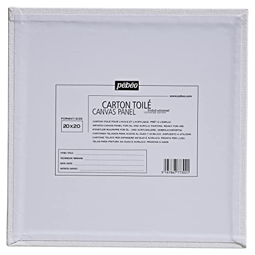 Pebeo Canvas Art, White,20x20cm