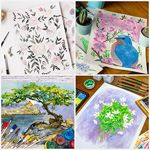 Belle Vous White A2 Watercolour Paper (50 Sheets) 200 GSM Cold Press Water Colour Painting Sheets - Suitable for Beginners to Expert Painters