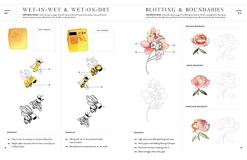 Watercolor Workbook: Flowers, Feathers, and Animal Friends: 25 Beginner-Friendly Projects on Premium Watercolor Paper