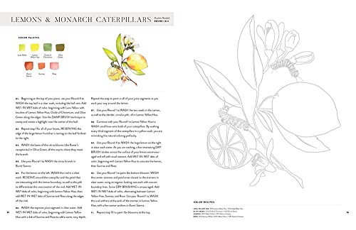 Watercolor Workbook: Flowers, Feathers, and Animal Friends: 25 Beginner-Friendly Projects on Premium Watercolor Paper