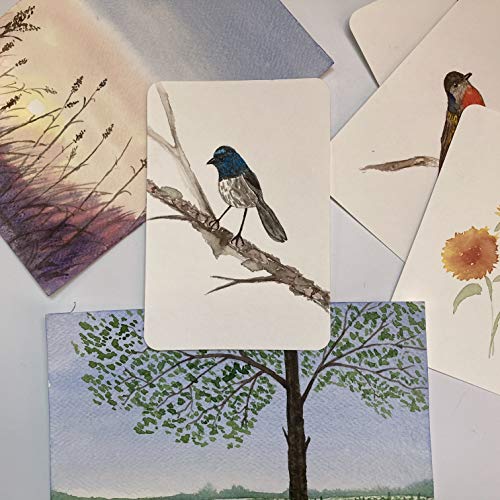 tumuarta Watercolor Paper Postcards 4x6”, Cotton Paper, 140 LB, 300 GSM, Cold Press, 24 Blank Cards for Dry & Wet Media Paint for Greeting Cards & Thank You Notes