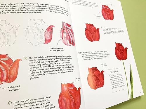 RHS Flowers The Watercolour Art Pad