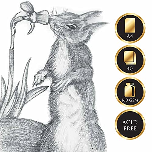 Fairfax & Co Artist Sketch Pad | A4 Paper Art Sketchbook 40 Sheets (160 GSM) Acid Free Drawing Paper Cartridge Paper with Premium Quality Mixed Media Use Art Supplies for Students and Adults
